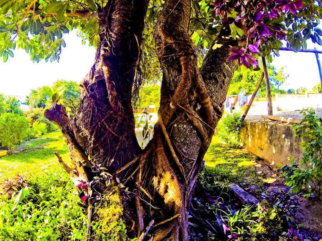 Tri M Waves Lodge Ponta do Ouro Ngoại thất bức ảnh